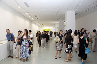 第十二屆全國美展實(shí)驗(yàn)藝術(shù)展區(qū)在北京開幕 推動(dòng)文化藝術(shù)交流新篇章